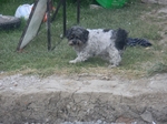 COOLPIX S1200pj, T:10/300, A:f/5.8, P:2, ISO560, F:250mm, EV:0 <br />12.06.2014 -  19:57:03